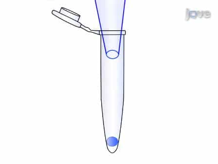 Transcriptome Analysis of Single Cells