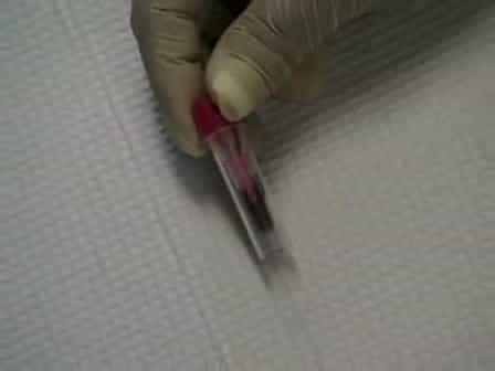 Drawing Blood from Rats through the Saphenous Vein and by Cardiac Puncture