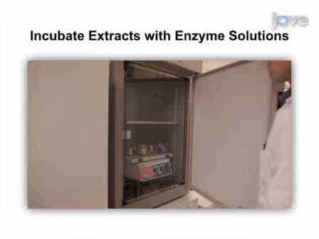 High-Throughput Measurement and Classification of Organic P in Environmental Samples