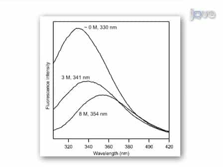 Thermodynamics of Membrane Protein Folding Measured by Fluorescence Spectroscopy