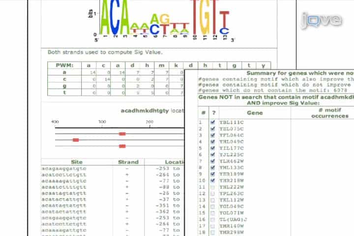 Using SCOPE to Identify Potential Regulatory Motifs in Coregulated Genes