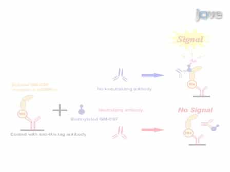 A Cell Free Assay System Estimating the Neutralizing Capacity of GM-CSF Antibody using Recombinant Soluble GM-CSF Receptor