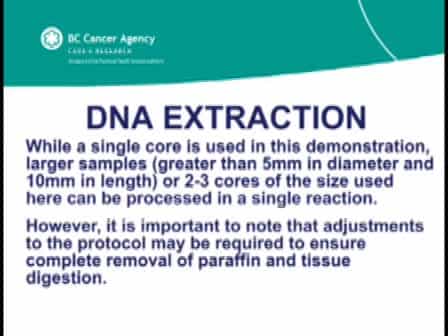 DNA Extraction from Paraffin Embedded Material for Genetic and Epigenetic Analyses
