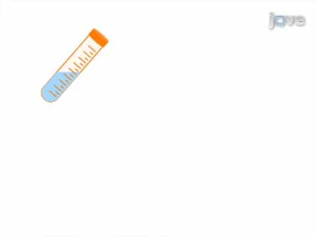 Generation and Labeling of Murine Bone Marrow-derived Dendritic Cells with Qdot Nanocrystals for Tracking Studies