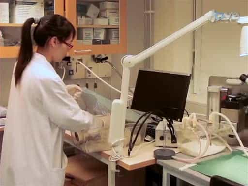 Modified Technique for Coronary Artery Ligation in Mice