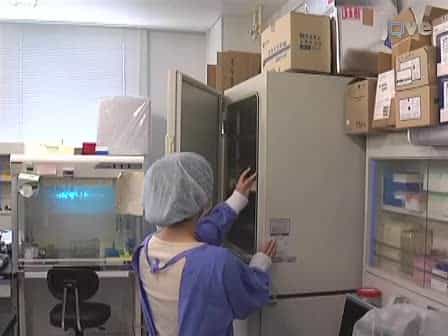 Cryopreservation of Mouse Embryos by Ethylene Glycol-Based Vitrification