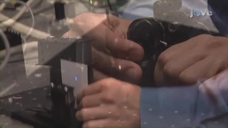 Video-rate Scanning Confocal Microscopy and Microendoscopy