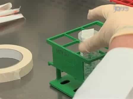 Rotating Cell Culture Systems for Human Cell Culture: Human Trophoblast Cells as a Model