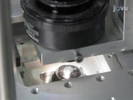 Stretching Short Sequences of DNA with Constant Force Axial Optical Tweezers