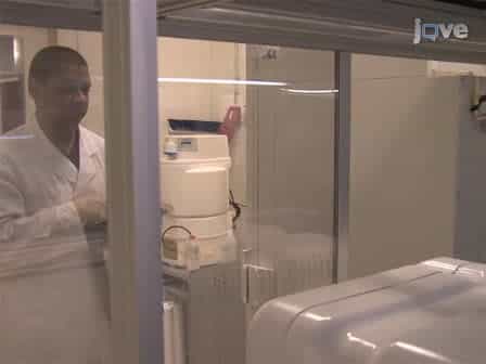 High Content Screening in Neurodegenerative Diseases