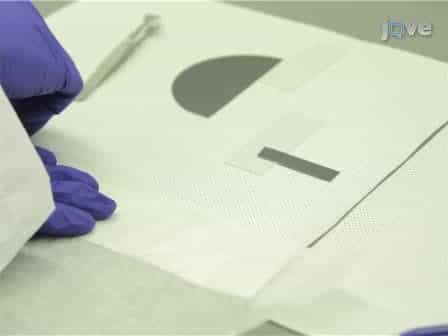 Soft Lithographic Functionalization and Patterning Oxide-free Silicon and Germanium