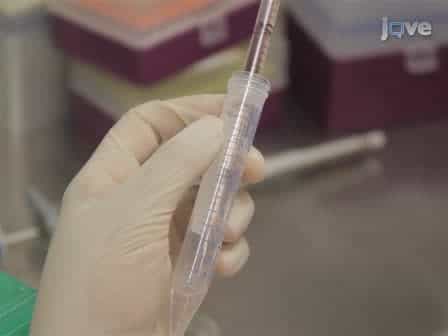 A 3D System for Culturing Human Articular Chondrocytes in Synovial Fluid