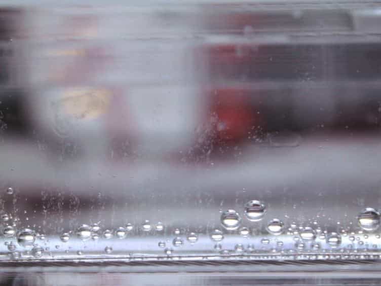 Agarose Gel Electrophoresis for the Separation of DNA Fragments
