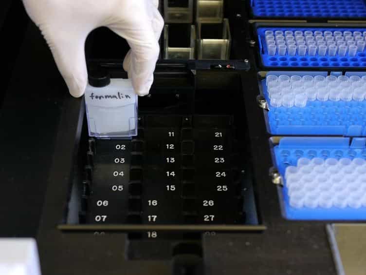 High-throughput Physical Mapping of Chromosomes using Automated in situ Hybridization