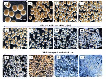 Customization of Aspergillus niger Morphology Through Addition of Talc Micro Particles