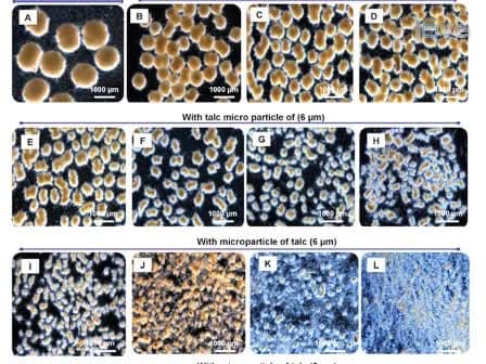 Customization of Aspergillus niger Morphology Through Addition of Talc Micro Particles