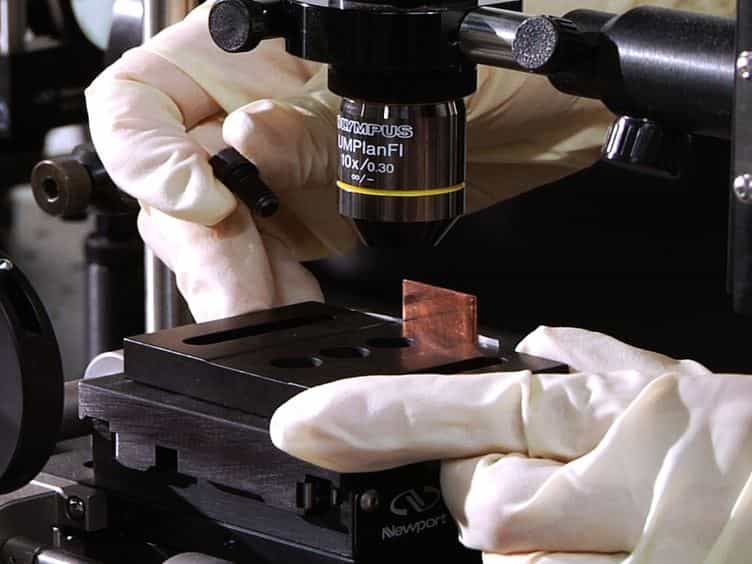 Investigation of Early Plasma Evolution Induced by Ultrashort Laser Pulses