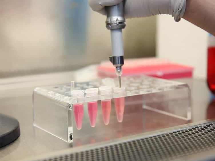 Reverse Genetics Mediated Recovery of Infectious Murine Norovirus