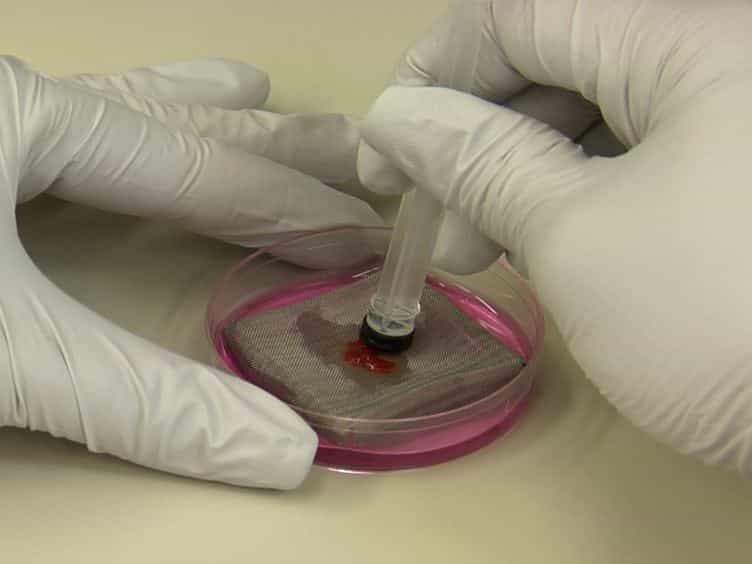 Examination of Thymic Positive and Negative Selection by Flow Cytometry