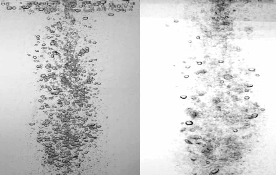 Determining 3D Flow Fields via Multi-camera Light Field Imaging