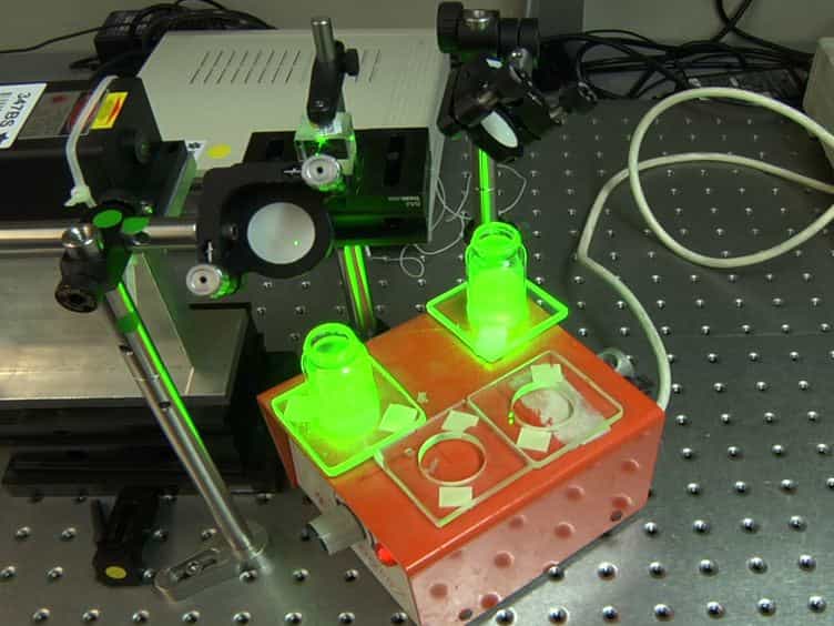 The Synergistic Effect of Visible Light and Gentamycin on Pseudomona aeruginosa Microorganisms