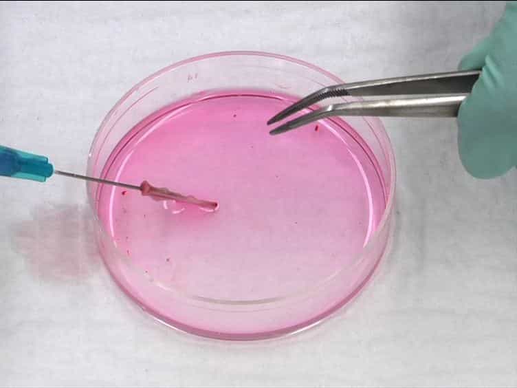 Using Quantitative Real-time PCR to Determine Donor Cell Engraftment in a Competitive Murine Bone Marrow Transplantation Model