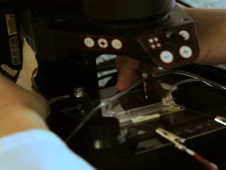 Microfluidic-based Electrotaxis for On-demand Quantitative Analysis of Caenorhabditis elegans' Locomotion