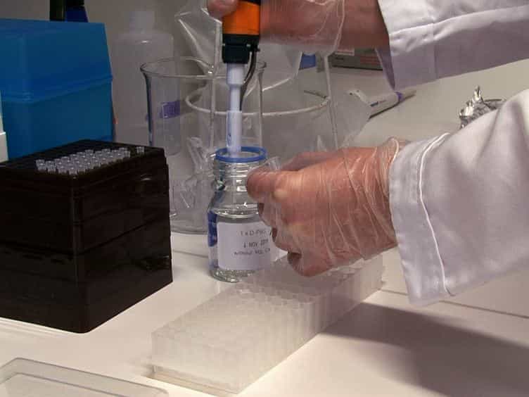 Micromanipulation of Gene Expression in the Adult Zebrafish Brain Using Cerebroventricular Microinjection of Morpholino Oligonucleotides