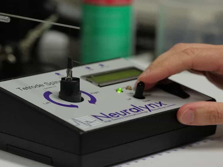 Construction of Microdrive Arrays for Chronic Neural Recordings in Awake Behaving Mice