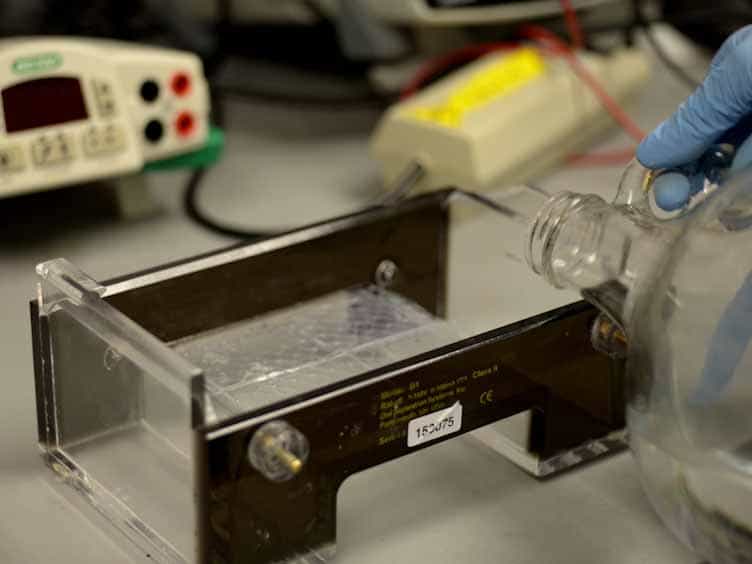 CometChip: A High-throughput 96-Well Platform for Measuring DNA Damage in Microarrayed Human Cells