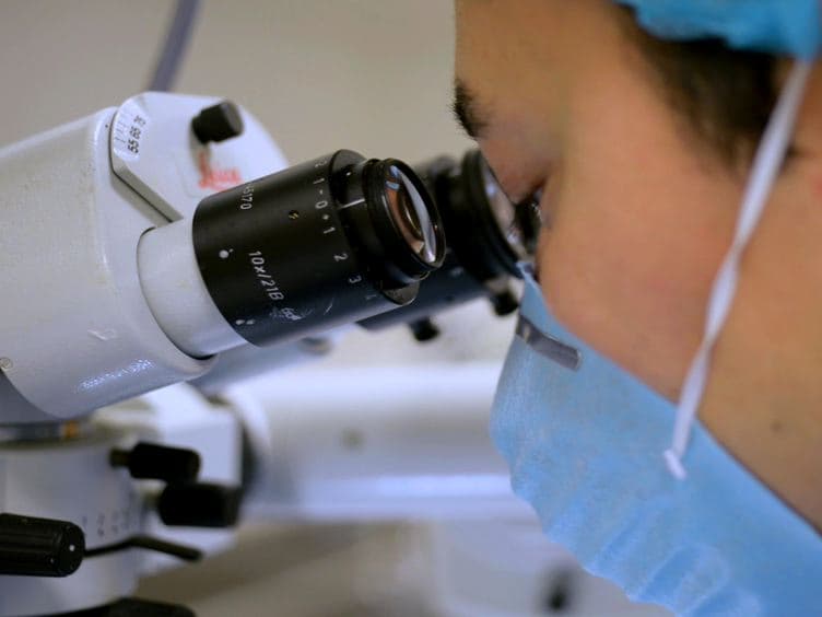 Retinal Detachment Model in Rodents by Subretinal Injection of Sodium Hyaluronate