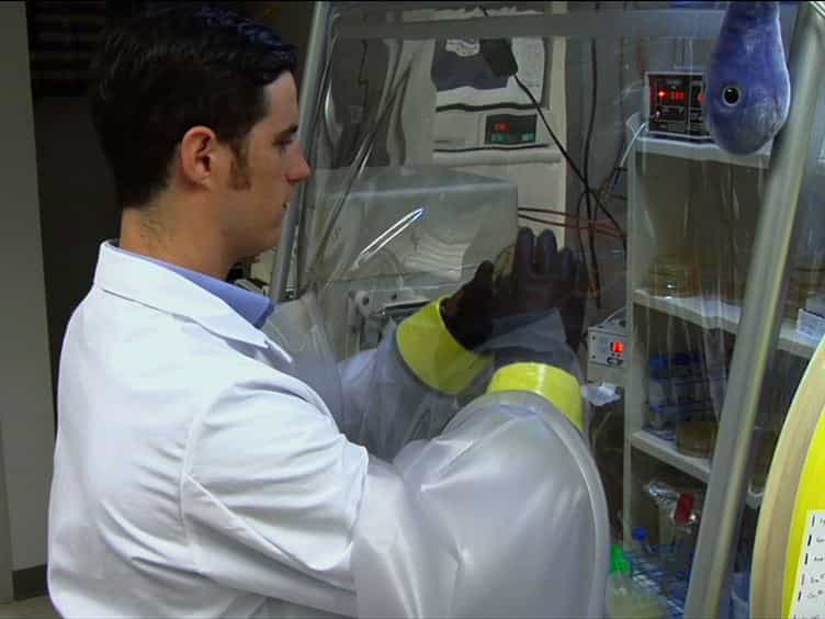Culturing and Maintaining Clostridium difficile in an Anaerobic Environment