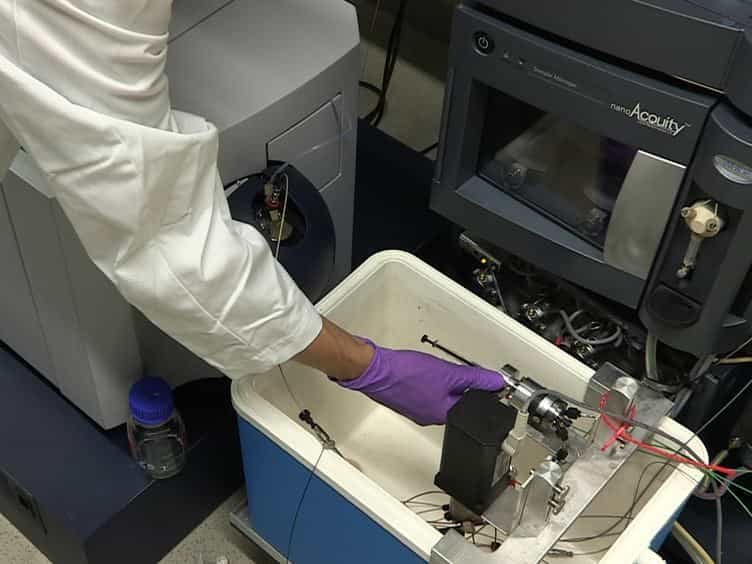 Analyzing Protein Dynamics Using Hydrogen Exchange Mass Spectrometry
