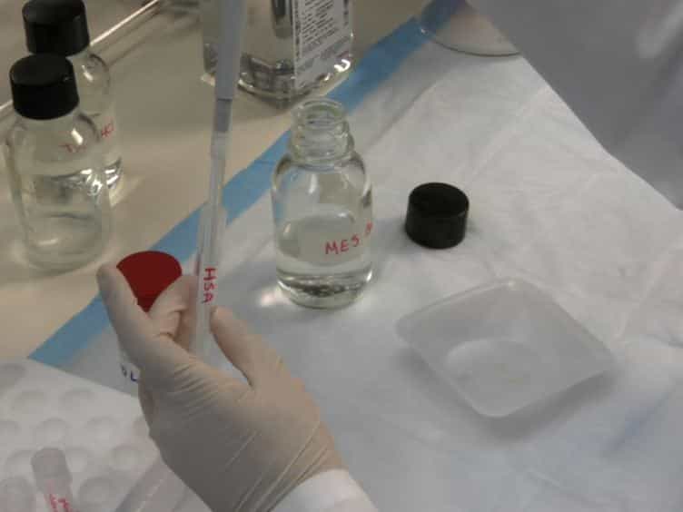 Rapid Generation of Amyloid from Native Proteins In vitro