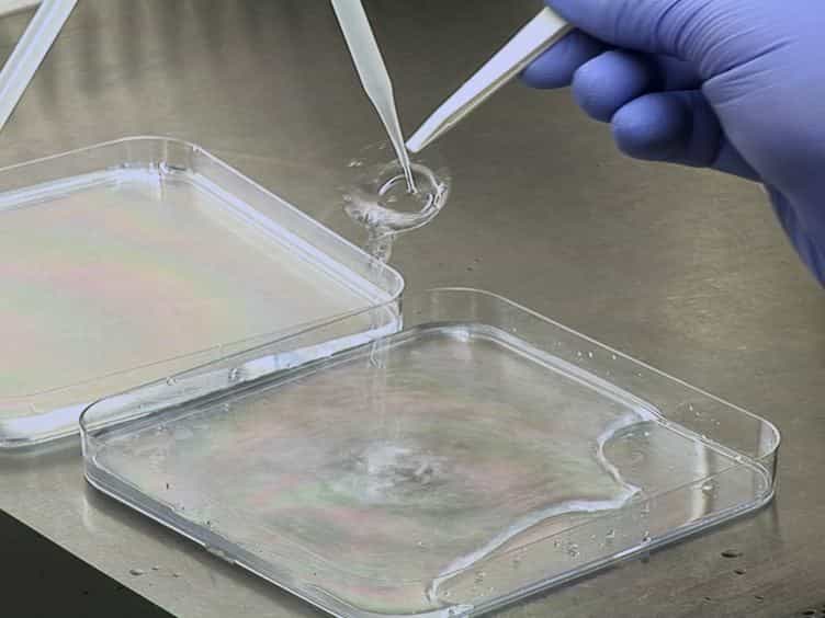 Preparation of Hydroxy-PAAm Hydrogels for Decoupling the Effects of Mechanotransduction Cues