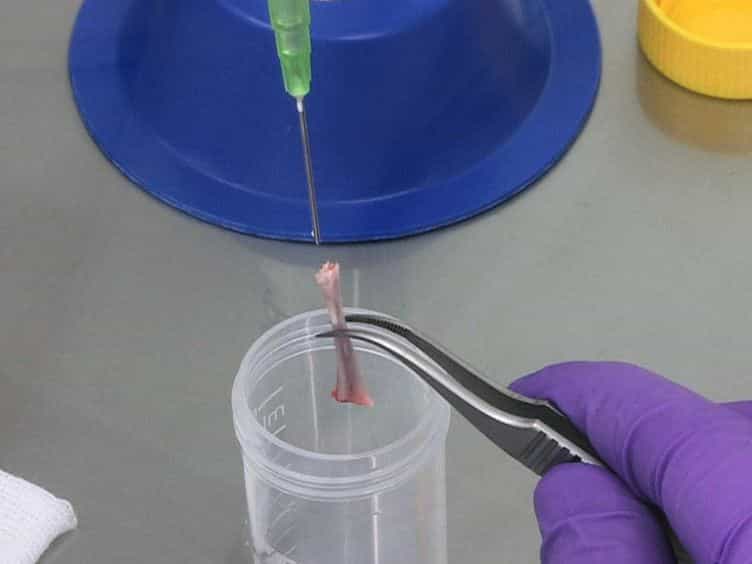 Cell-based Therapy for Heart Failure in Rat: Double Thoracotomy for Myocardial Infarction and Epicardial Implantation of Cells and Biomatrix