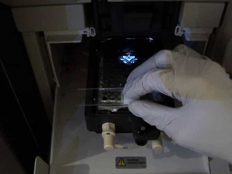 BEST: Barcode Enabled Sequencing of Tetrads