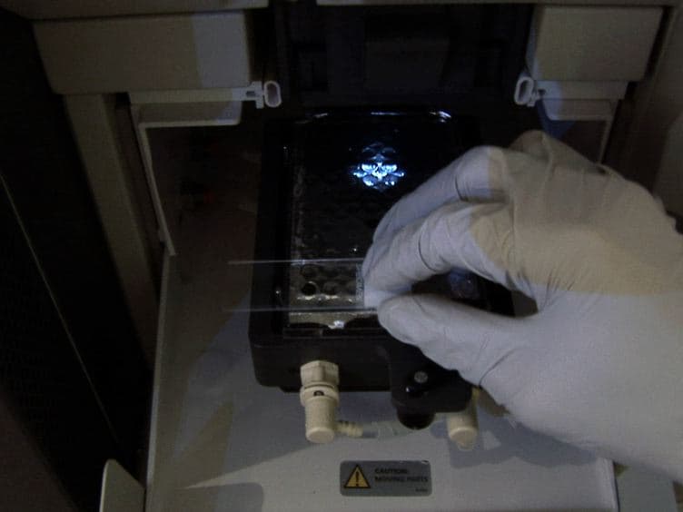 BEST: Barcode Enabled Sequencing of Tetrads