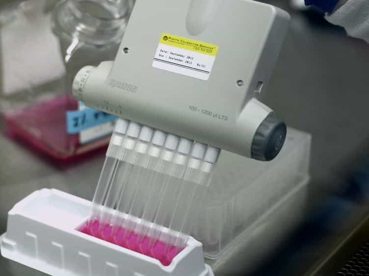 Vaccinia Reporter Viruses for Quantifying Viral Function at All Stages of Gene Expression