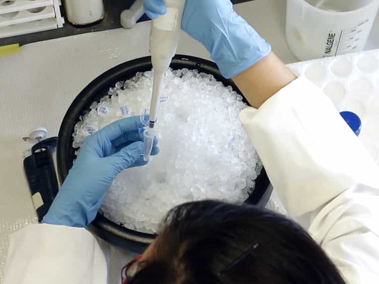 In Vitro Aggregation Assays Using Hyperphosphorylated Tau Protein