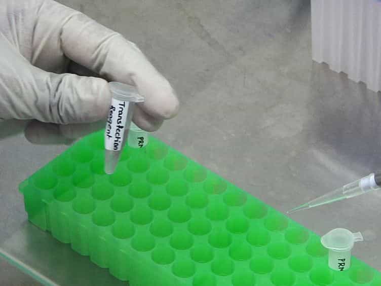 In vitro Methylation Assay to Study Protein Arginine Methylation
