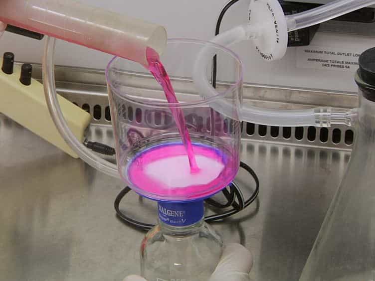 The Soft Agar Colony Formation Assay