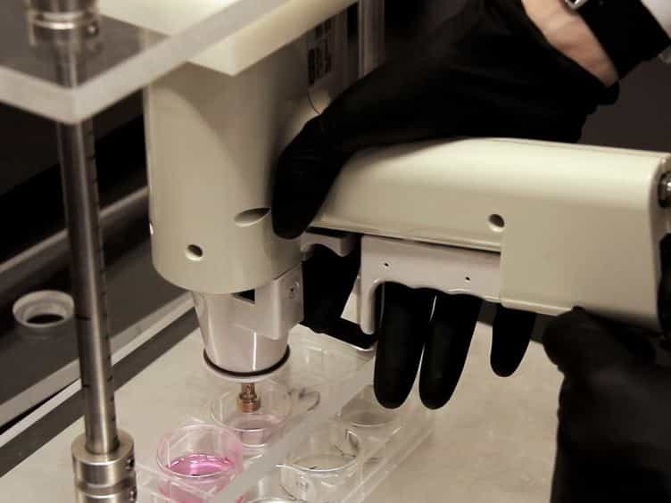 Regioselective Biolistic Targeting in Organotypic Brain Slices Using a Modified Gene Gun