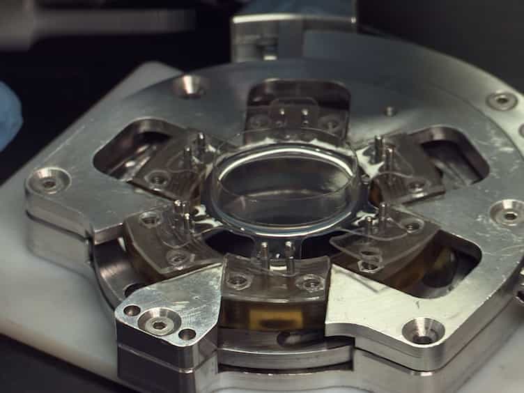 Live Cell Imaging during Mechanical Stretch