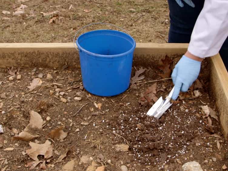 An Optimized Enrichment Technique for the Isolation of Arthrobacter Bacteriophage Species from Soil Sample Isolates