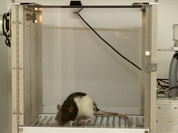 A Method for Remotely Silencing Neural Activity in Rodents During Discrete Phases of Learning