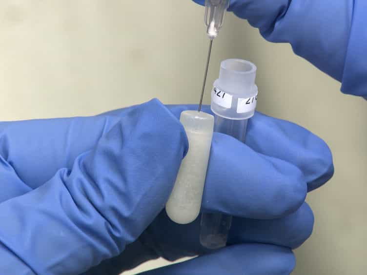 Implantation of Miniosmotic Pumps and Delivery of Tract Tracers to Study Brain Reorganization in Pathophysiological Conditions