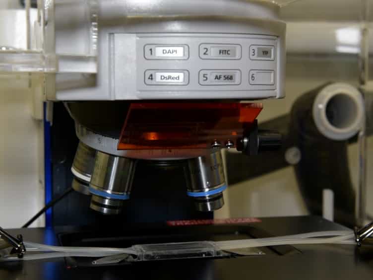 In Situ Mapping of the Mechanical Properties of Biofilms by Particle-tracking Microrheology