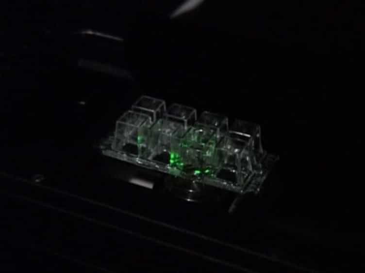 Measuring TCR-pMHC Binding In Situ using a FRET-based Microscopy Assay