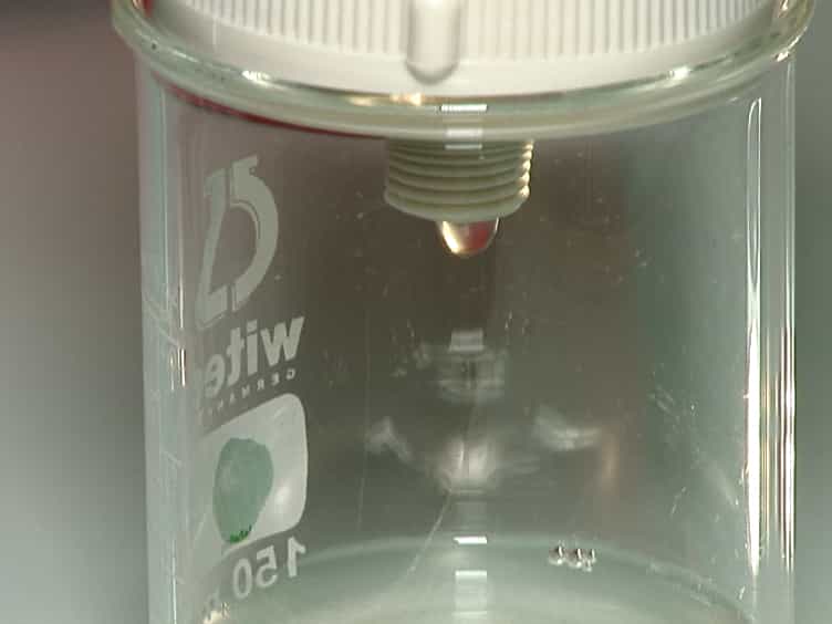 Purification of Mouse Brain Vessels